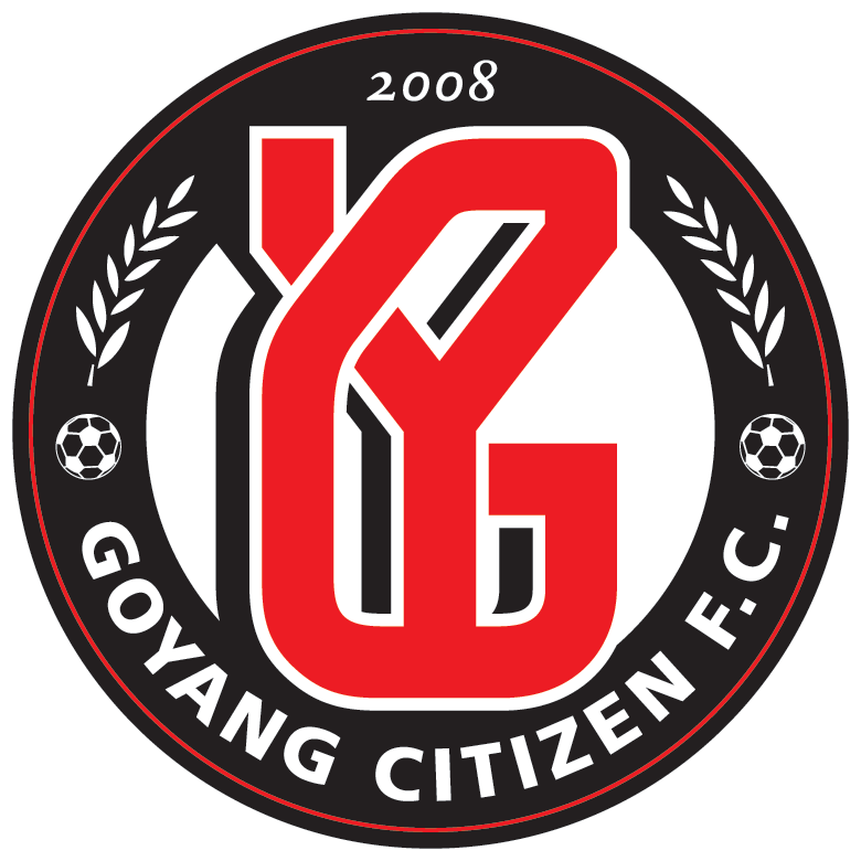 高阳FC logo