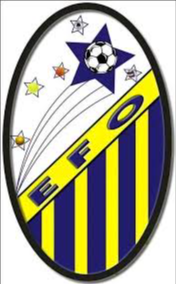 流星体育FC logo