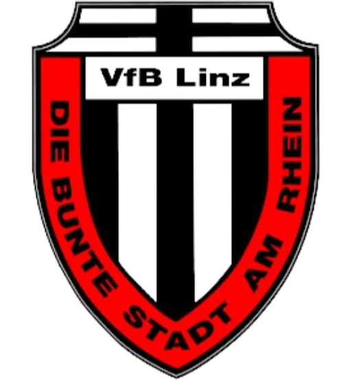 VFB林茨 logo