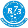 赫尔雷夫B1973 logo